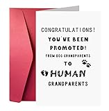 Funny Announcement Card, Pregnancy Reveal Cards for Parent, You've Been Promoted from Dog Grandparen