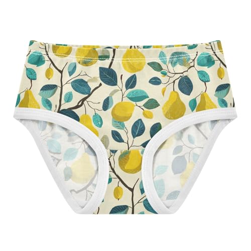 Wusikd Pears Girls' Underwear Cotton Girls Briefs Soft Toddler Underwear 2T