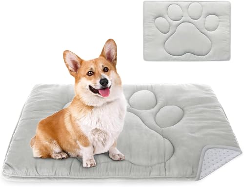 Coldwind Dog Crate Pad(19"x 30"), Washable Crate Mat with Anti-Slip Bottom, Dog Mats for Sleeping, Breathable Kennel Pad,Dark Colored to Hide Stains