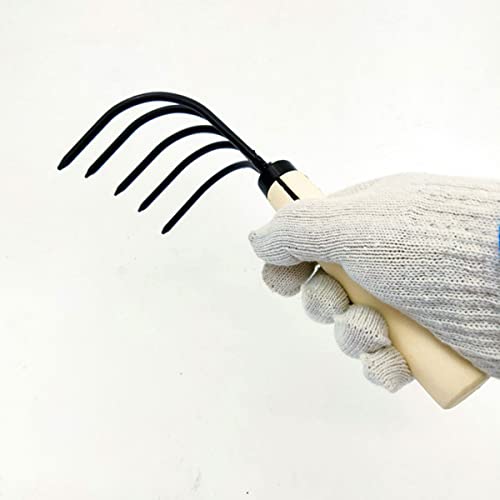 Haohiyo Asano Japanese Ninja Claw Rake And Cultivator (Basic Pack) (05080) #TOP1