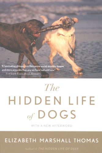 The Hidden Life Of Dogs
