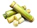 Tropical Importers Fresh Sugar Cane (15lb)