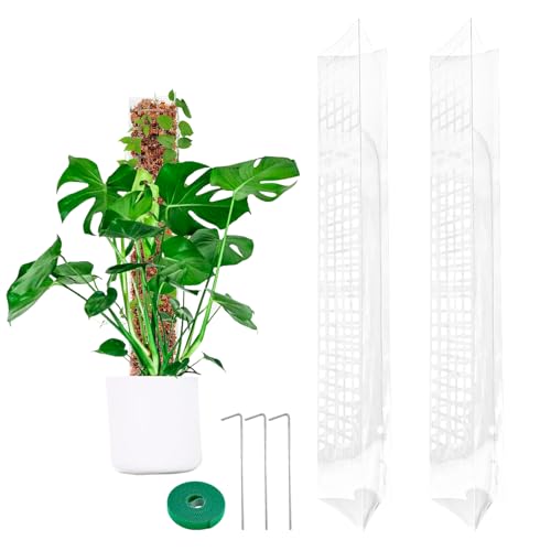 Lot de 2 Tuteurs en Mousse pour Plantes Grimpantes - Support Mousse Naturel avec Velcro et Clous - 61 cm - pour Monstera, Philodendron, Pothos - Tige Coco Plastique Renforcée