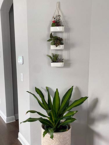 Mkono YYBSTC001 Hanging Wall Planter For Indoor Flower Plants, Ceramic Pots For Succulent Herb Air Faux Plant Holder Vertical Garden thumb #4