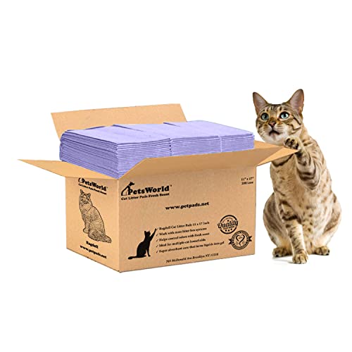 Cat Pee Pads The 15 best products compared Wild Explained