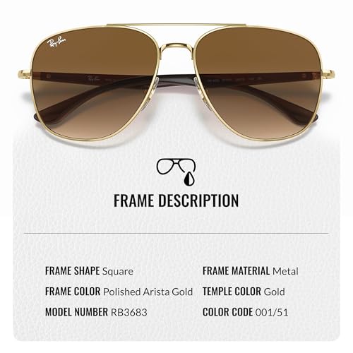 Ray-Ban RB3683 Square Shaped Sunglasses for Men & Women with Official RAYBAN Eyewear Kit3