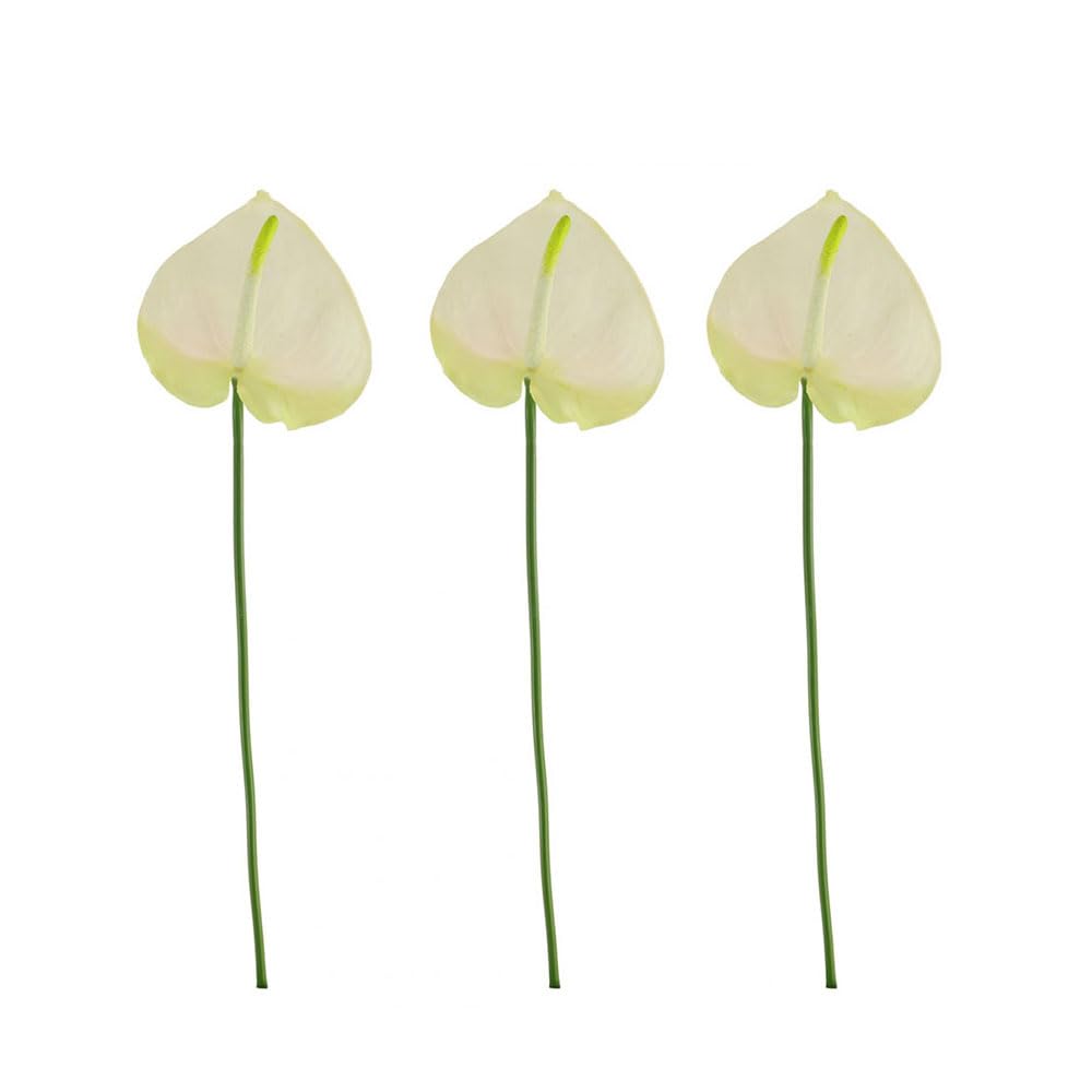 Floristrywarehouse White Artificial Anthurium Flowers 66Cm/26 Inches Pack Of 3 Stems