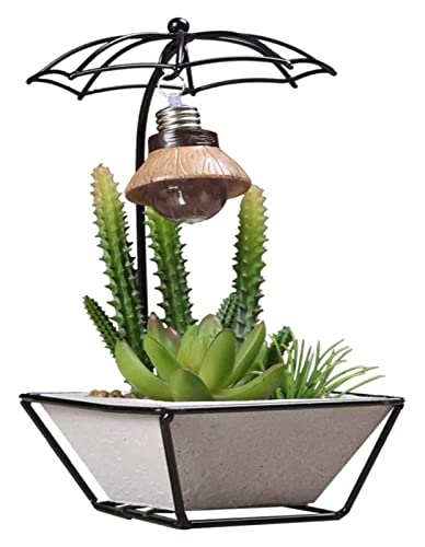 Simulation de fer forgé minimaliste plante verte sans arrosage