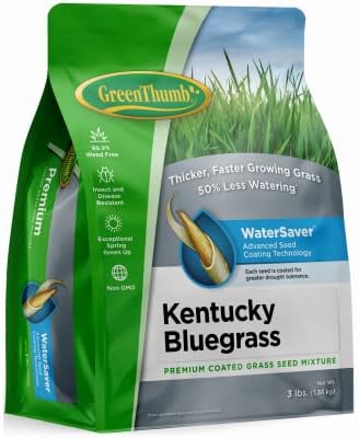 Green Thumb GREUN210 Premium Coated Kentucky Bluegrass Seed, 3 Lbs., Covers 2,000 Sq. Ft. - Quantity 1