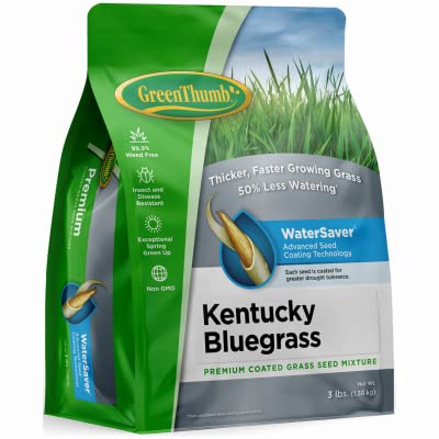 Green Thumb UNUN210 Kentucky Bluegrass Seed 3 Lbs
