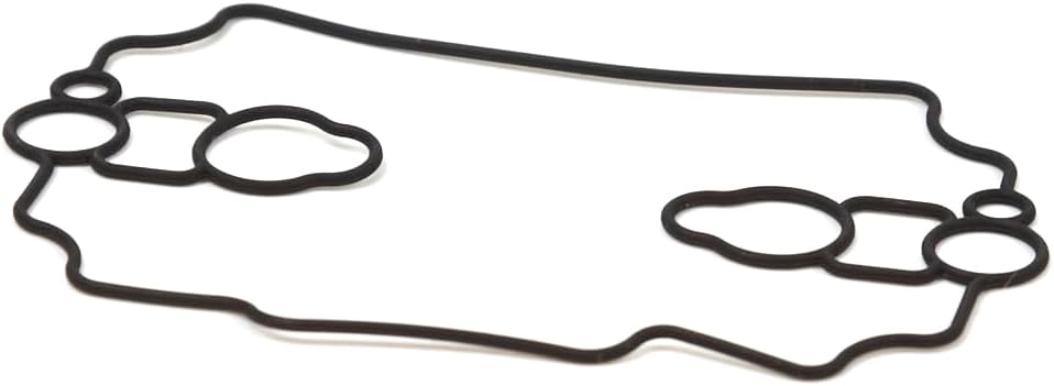 Briggs & Stratton 693711 Float Bowl Gasket Replacement for Models 805967 and 693711