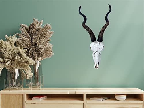 Calavera de Antílope Kudu Africano 14.5 pulg Top Brass miniatura 6