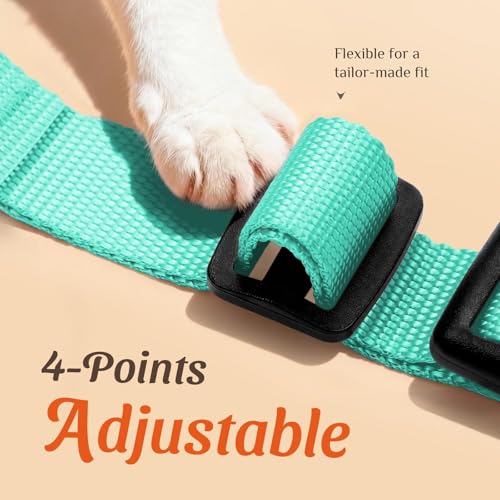 Image of Dooradar Cat Harness and Leash Set, Escape Proof Safe Adjustable Kitten Vest Harnesses for Walking, Easy Control Soft Breathable Mesh Jacket with Reflective Strips for Cats, Green, XS