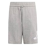 adidas Unisex Kids Essentials Big Logo Shorts, medium Grey Heather/White, 13-14 Years