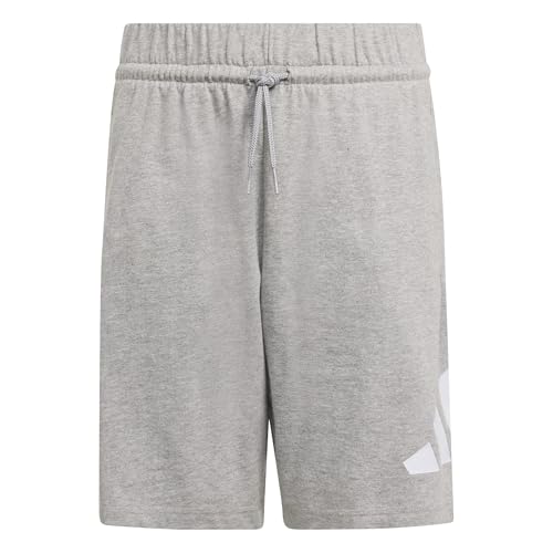 adidas Unisex Kids Essentials Big Logo Shorts, Medium Grey Heather/White, 9-10 Years