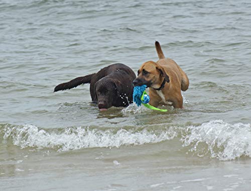 Dingo Mop Bungee Blau Mikrofaser mit Vanille Duft Ball Hundespielzeug Agility Apporte zum Spielen Tauziehen Beweglichkeit Wassertraining 15587-2