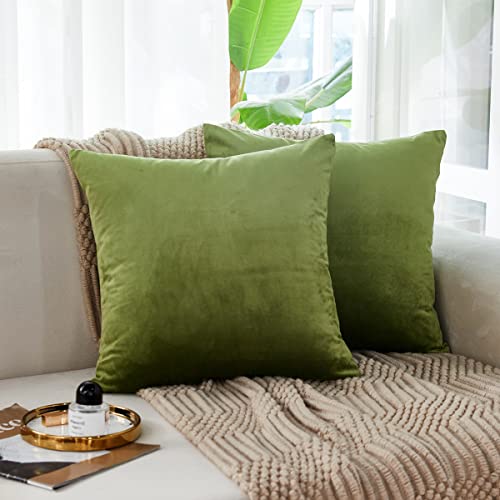 Sunday Praise Soft Thick Velvet Throw Pillow Covers 18 x 18 Inches Set of 2 Solid Decorative Square Cushion Case for Couch Sofa Bed Farmhouse Décor,Green
