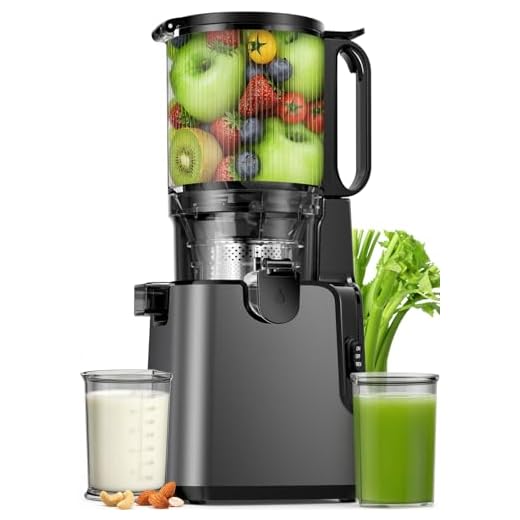 YPONE Juicer Machines 2-in-1 Cold Press Juicer Easy to Clean Titanium gray