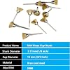 20pcs Brass Wire Brush Set , Cup Wire Brush Wheel Rust Polishing Kit ,1/8 Shank Compatible with Most Rotary Tool