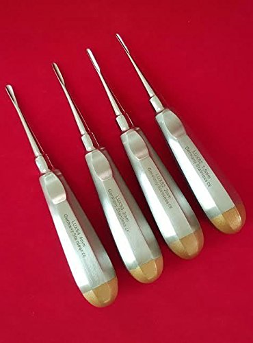Set of 4 PCS Straight Dental EXTRACTING Extraction LUXATING Elevator