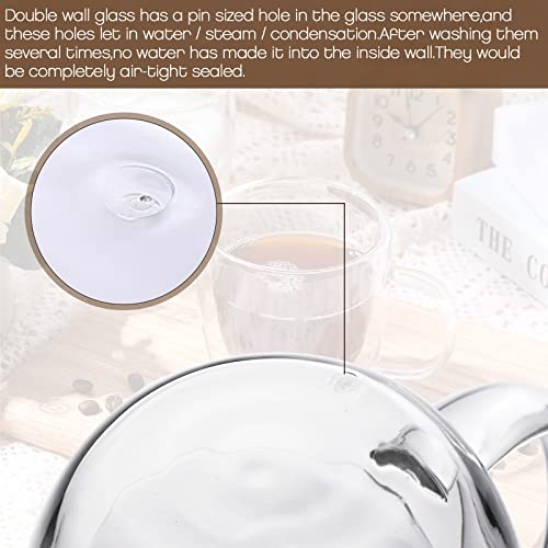 Gerrii 12 Pack Double Walled Glass Coffee Mugs With Handle 10 Oz Insulated Glass Cappuccino Mugs Clear Espresso Mugs For Home Office Coffee Tea Espresso Latte Milk And Other Hot Cold Beverages #TOP3
