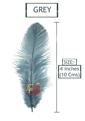 Image of TIPTOP DECORATION Natural Dyed Feathers 10 cm (80 pieces) (Grey)