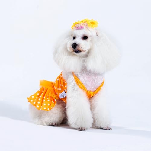 Image of CuteBone One Piece Dog Bikini Swimsuit Dress - Puppy Bathing Suit Costume for Small Dogs - Comfortable & Stylish Pet Clothes for Summer Pool, Beach & Play LTDB03S