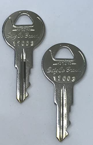SafeCo Brands 17003 Fire Lite Replacement Fire Alarm Keys 2- Keys (17003 Fire Lite)