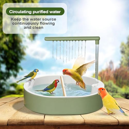 Fontaine d'eau pour inséparables et douche pour perroquet avec piscine automatique intégrée