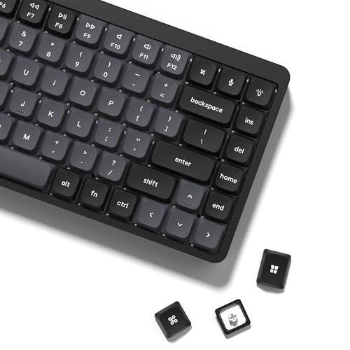 ターボ ロープロ版 roBa オプション ターボ ロープロ版 roBa