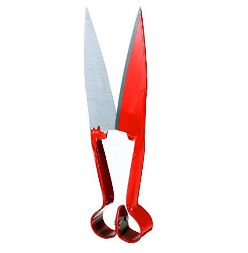 EatingBiting 10" Sheep Shearing Hand Shear Scissors Steel Black Handle Cutters Animal Clipper - Thumbnail 6