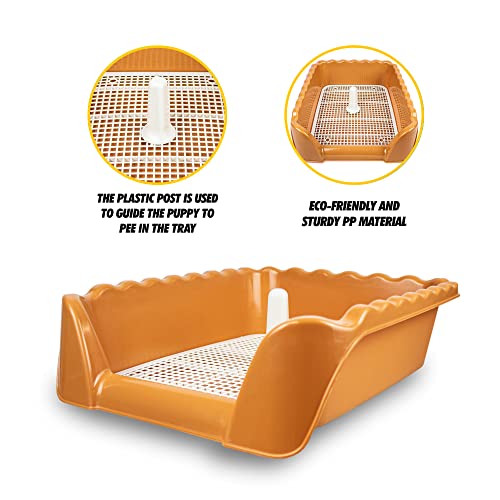 Image of Lutema Indoor /Outdoor Training Dog Potty Tray for Small and Medium Puppies Litter Boxes in (Orange Brown)