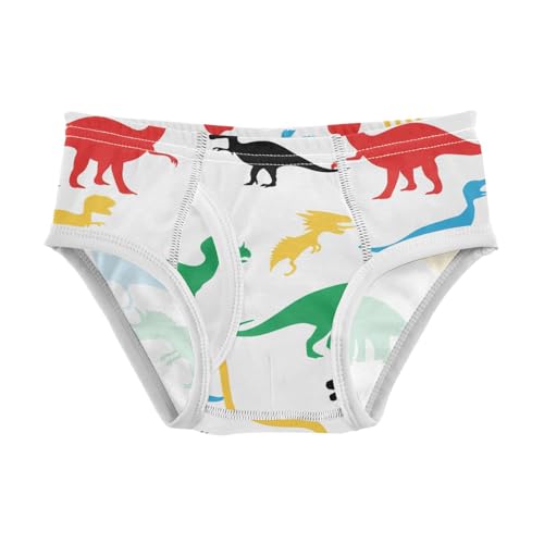 Dinosaur Toddler Boy's Underwear 2T 202c1136