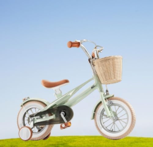 ZVTW �q���p���]�ԁA�c���p���]�ԁA�y�ʁA�j�̎q�Ə��̎q�ɓK���Ă���A�⏕�ւƃo�X�P�b�g�t���A�g�ݗ��Ă��ȒP�A2?7�΂̎q���ɓK���Ă��܂��B (14�C���`,�O���[�� (A))