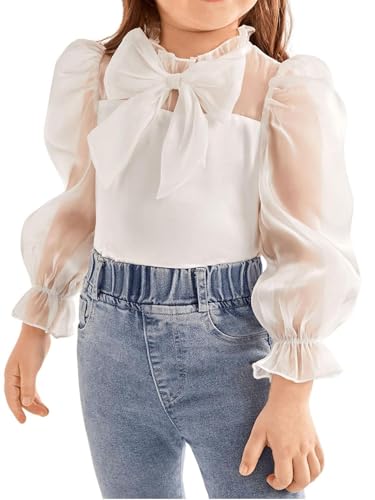 Amazon.com: WDIRARA Toddler Girl's Mesh Sheer Long Sleeve Bowknot
