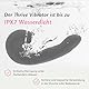 Fae Vibration für Frauen Dildo Vibrator - 3IN1 G-Punkt- und Klitoris-Stimulator mit Saug-, Druck- und Vibrationsfunktion - Wiederaufladbares Silikon Sexspielzeug - Thrive, Moon Mist