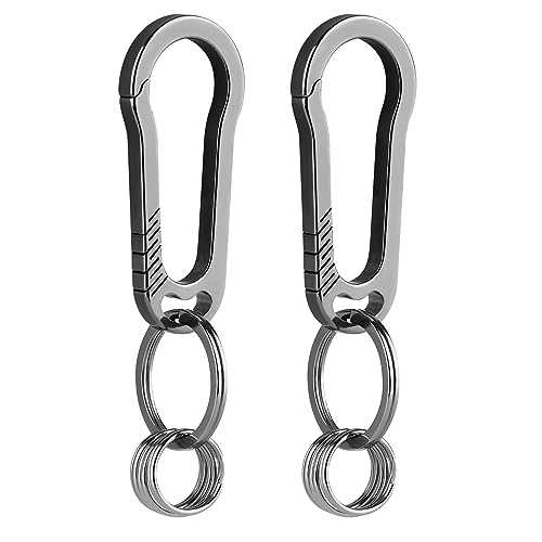 1981LIFE YSK011 2pack Carabiner Keychain Clip for Keys, Heavy Duty Car Key Chains Organizer for Men and Women