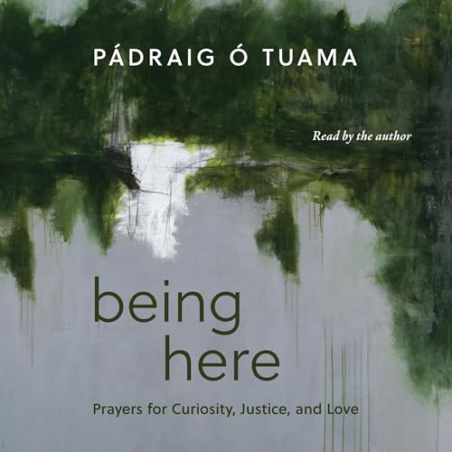 Being Here by Pádraig Ó Tuama episode artwork