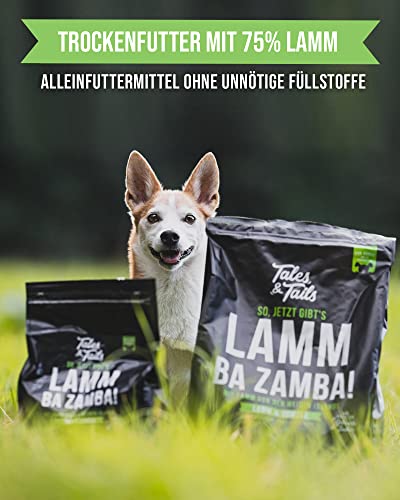 Tales & Tails Lamm Ba Zamba Halbfeuchtes Trockenfutter für Hunde | Getreidefrei | Mit 75% Lamm Als Tierische Proteinquelle | Nur 6 Zutaten | Hohe Verträglichkeit | 4kg