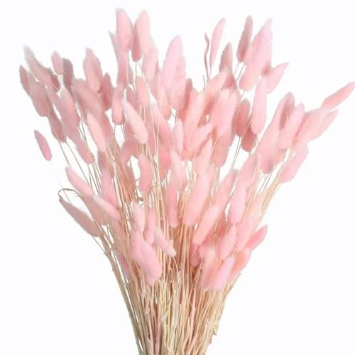 Pampas Grass Decor Tall 100 piezas flores secas decorativas