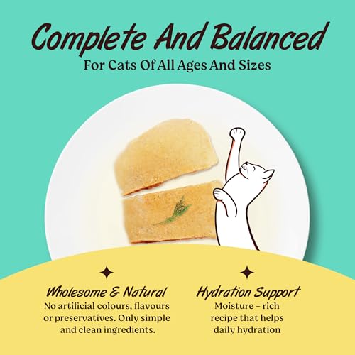 Image of Kennel Kitchen Grain Free Wet Cat Food for Adults and Kittens, Tuna in Jelly, Gravy Pet Food for Cats No Artificial Flavors, Colors or Preservatives 4 Pouches (4 x 80 GMS)