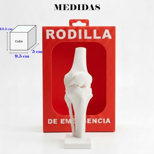 Repuestos caja para rotomartillo Truper ERGO-4580 20 Imagen adicional