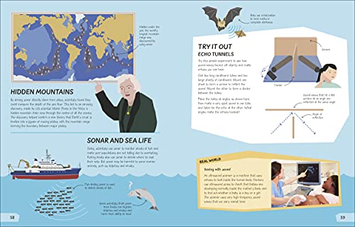 What's the Point of Science? (DK What's the Point of?) - Image 3