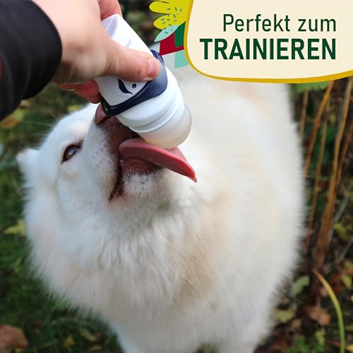 Hunde Smoothie SmoothieDog 6er Huhn + Doggyroller m. Halter, Karabiner Blau - Flüssiges Hundeleckerli - Zucker- & glutenfrei - Zubehör Hund - je 250ml