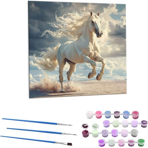 LbgɂG ̔n G LbghG h qƑl S phGLoXNtg|  DIYG fW^G z[ ItBX i 50x50cm (t[X) Z-738