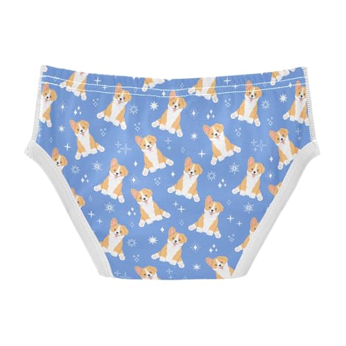 Cotton Little Boys Briefs Soft Corgi Dog Toddler Underwear2