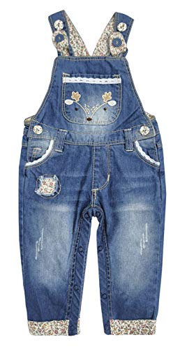 KIDSCOOL SPACE Baby Little Kids Cute Denim Embroidered Fashion Jean Overalls