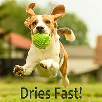 Just For Pets Pet Friendly & Pet Safe Weed Killer Spray (128 oz Gallon Refill)