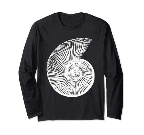 Photo de Ammonite - Extinct Animal Cretacé Paleogène Event K-Pg Manche Longue