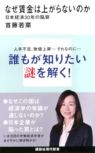 なぜ賃金は上がらないのか 日本経済30年の陥穽 (講談社現代新書)
